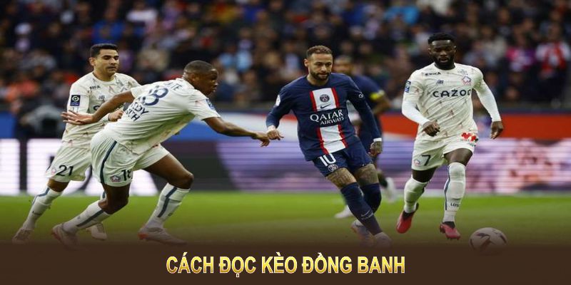 Cách đọc kèo đồng banh cần hiểu rõ tỷ lệ thắng thua